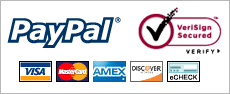 DataRepublic PayPal